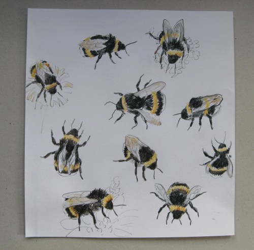 bee drawings 2