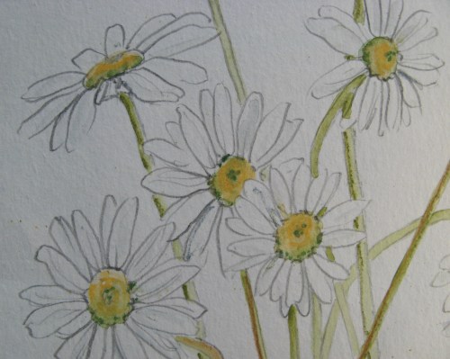 daisy embroideries 3