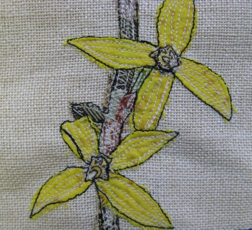 forsythia sampler 4