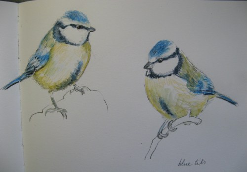 sketchbook birds 11