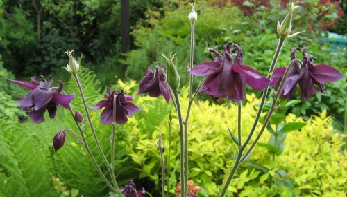 garden and bee brooches 035
