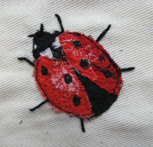 ladybirds 010