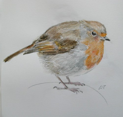 robin drawings 014