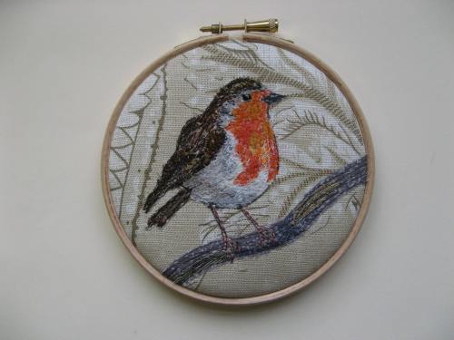 robins, butterflies, etc 064