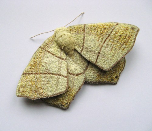 moths for etsy 049