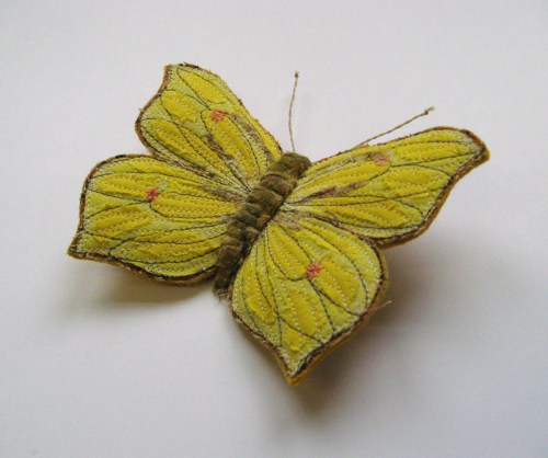 brimstone and orange tip 014