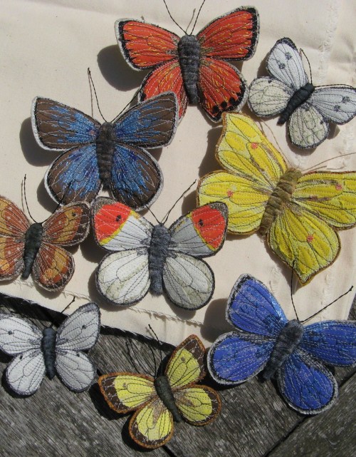 butterflies garden 006